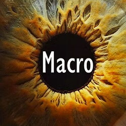 Micro Photography