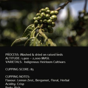 Ethiopian Coffee