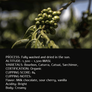 Guatemalan Coffee