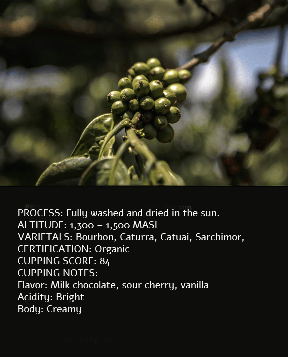 Guatemalan Coffee
