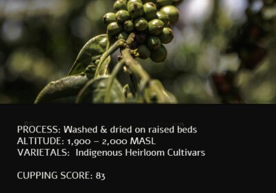 Ethiopian-Sidama