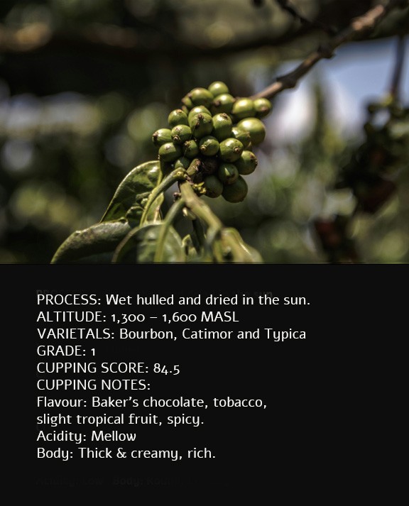 Sumatra Takengon Mandheling Coffee